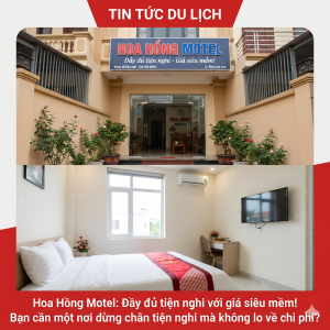 cam-nang-luu-tru-tiet-kiem-tai-sao-nha-nghi-hoa-hong-la-lua-chon-so-1